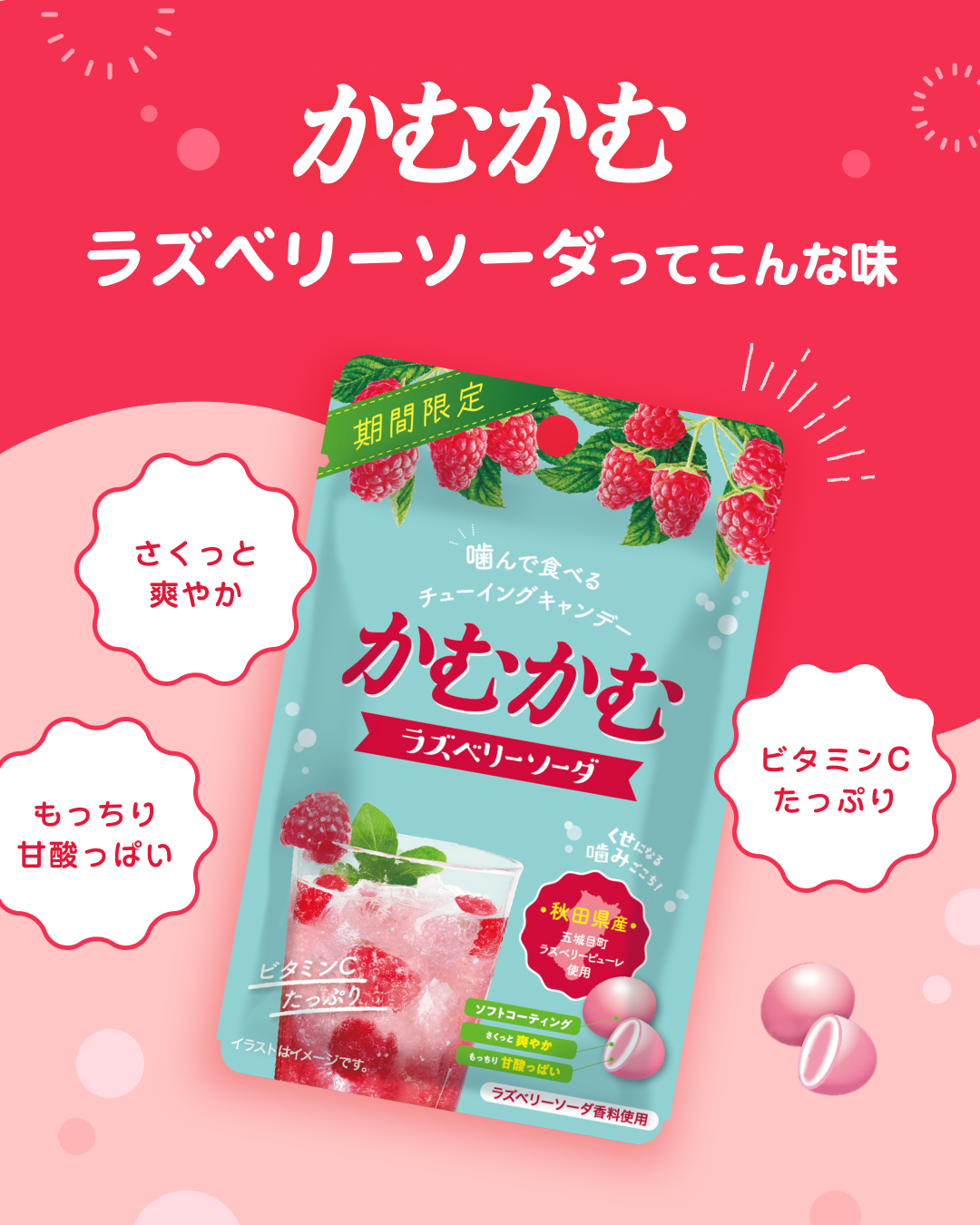 説明画像